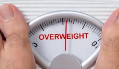 Idealfit : σύνθεση μόνο φυσικά συστατικά.